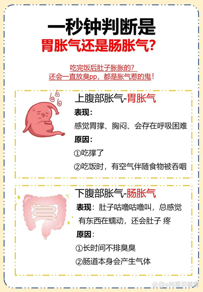 胃胀的原因有哪些(胃胀的原因有几种)
