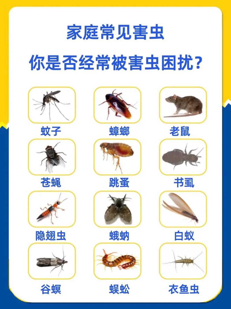 有害的昆虫有哪些(有害的害虫有哪些)