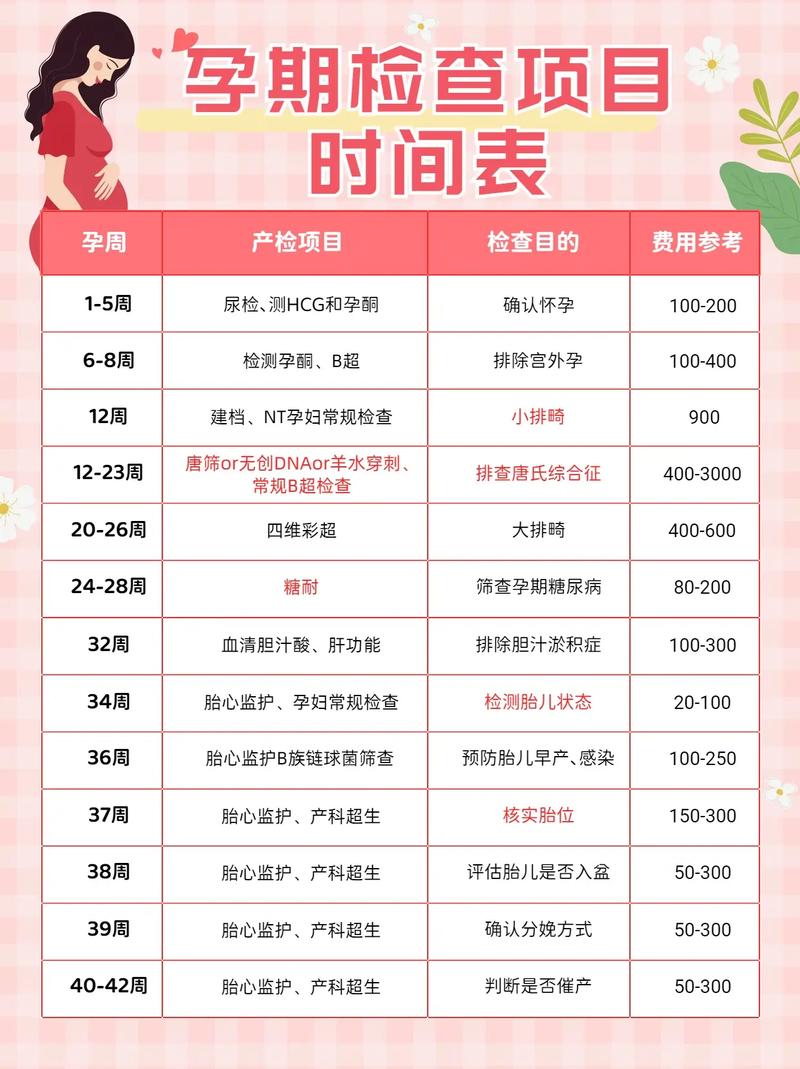 孕前需要做哪些检查(孕前需要做哪些检查项目)