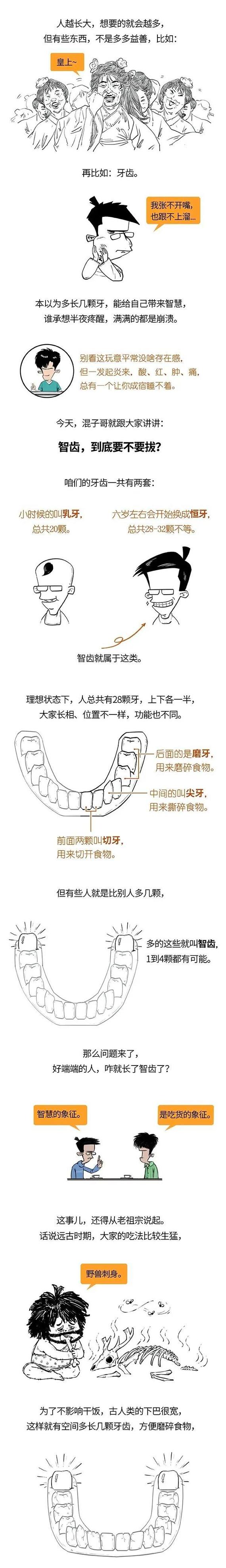 长智齿需要多久(长智齿需要多久长完)
