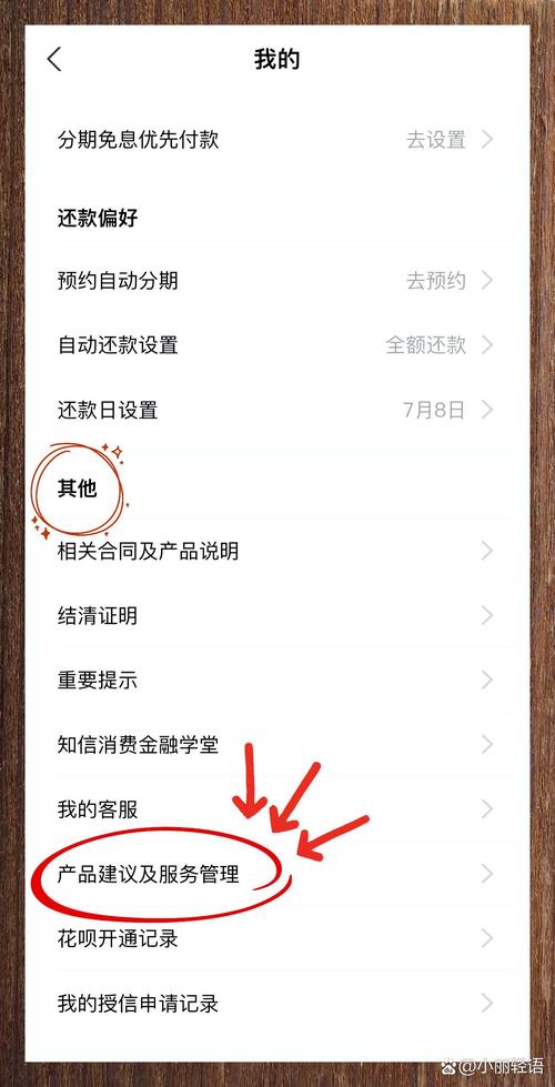 手机上花呗是什么功能(手机上的花呗是怎么回事)